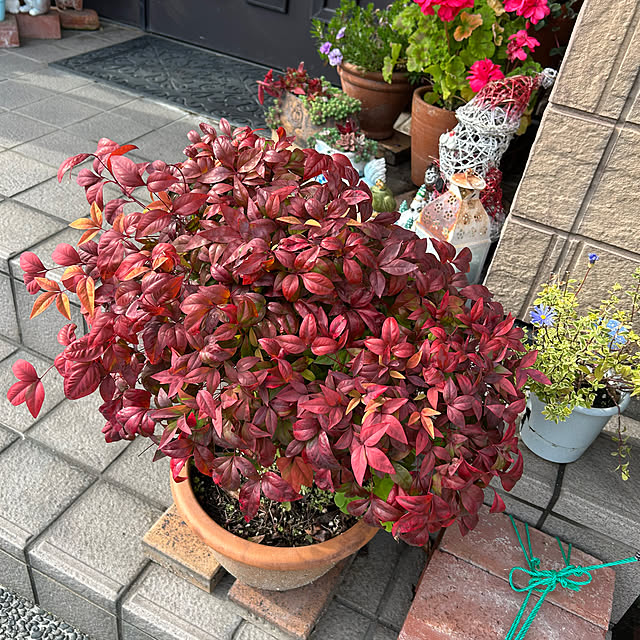 ritsukoさんの部屋