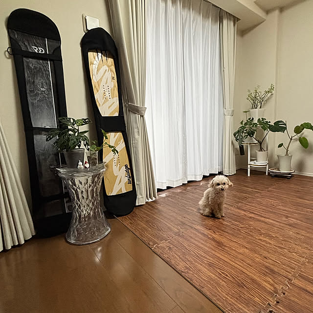 Kanmiさんの部屋