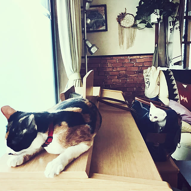 maroさんの実例写真