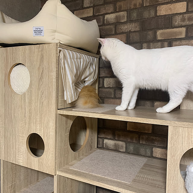 keiさんの部屋