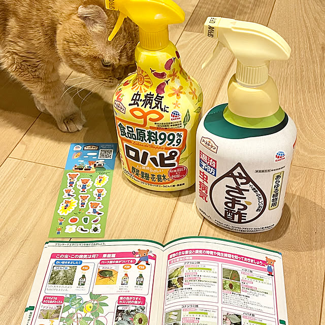 hm_myhomeさんの部屋