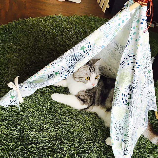 narashimhaさんの実例写真