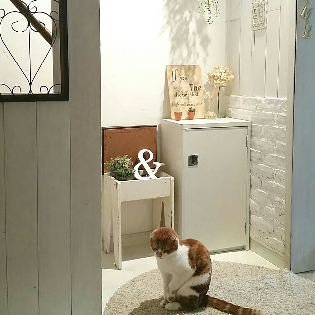 mikiさんの実例写真