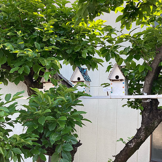 FRAGMENTSさんの実例写真