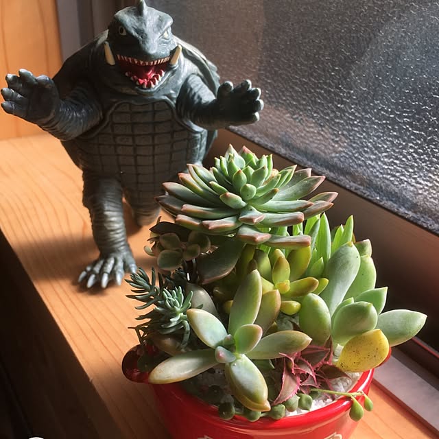 miporinさんの実例写真