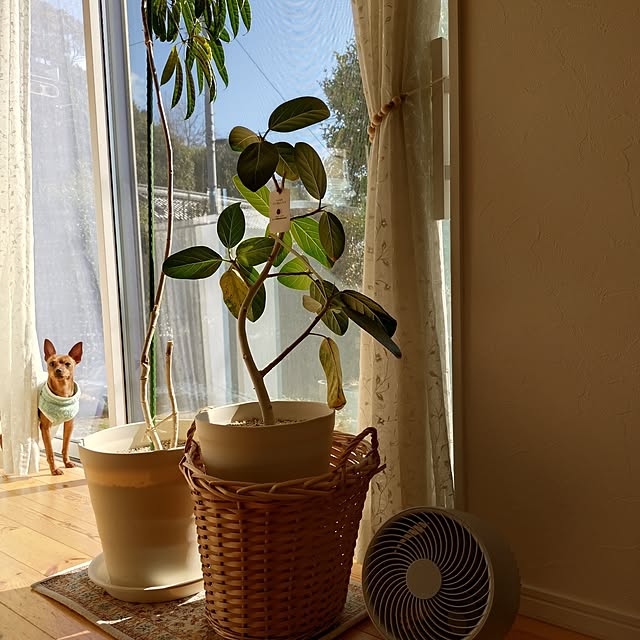 ri-eさんの実例写真