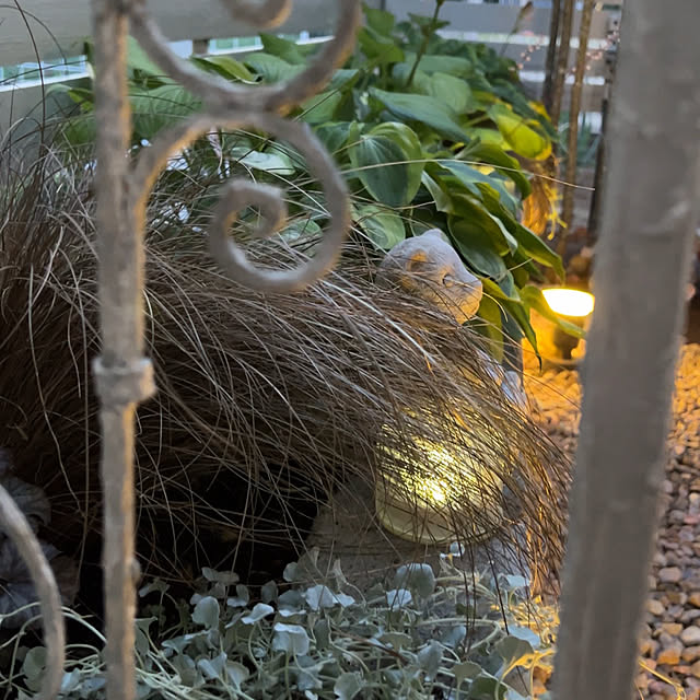 hamuさんの実例写真