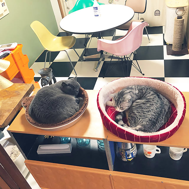 Shojiさんの実例写真