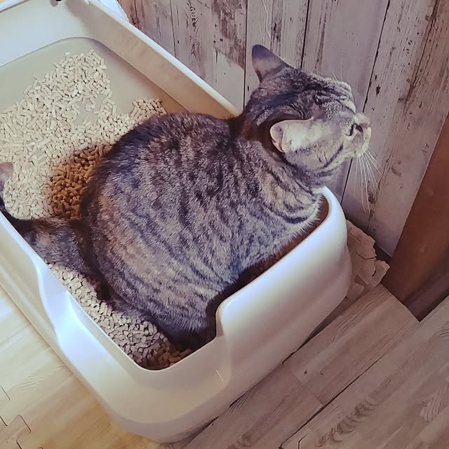 runaさんの部屋