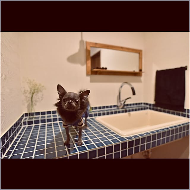 naeさんの実例写真