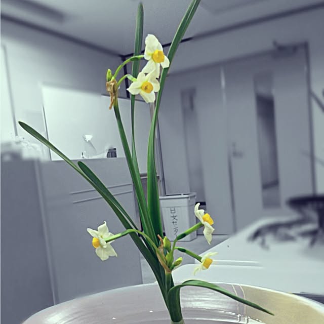 Kuronekoさんの実例写真