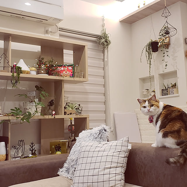 megu.catさんの実例写真