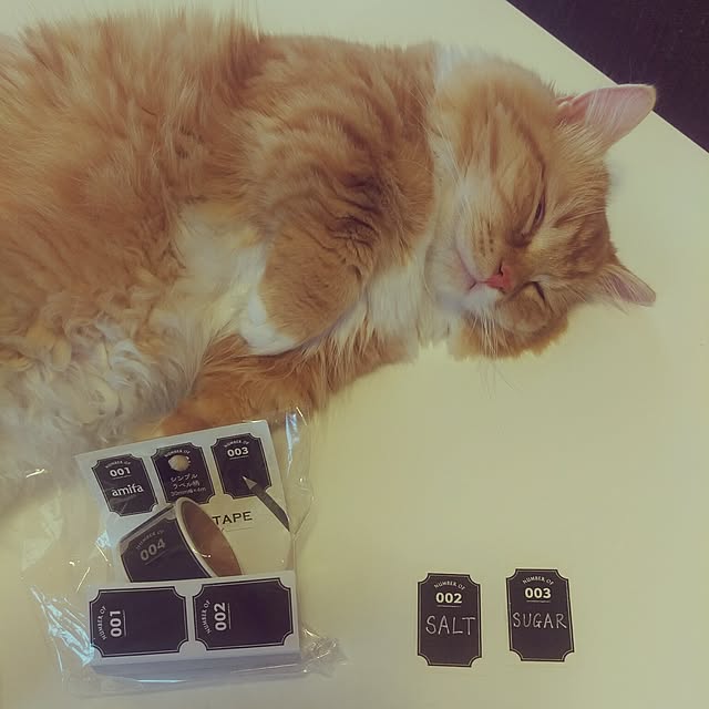lukeさんの実例写真