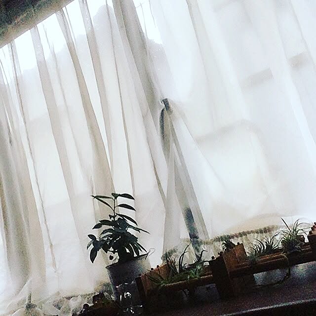 nanaoさんの実例写真