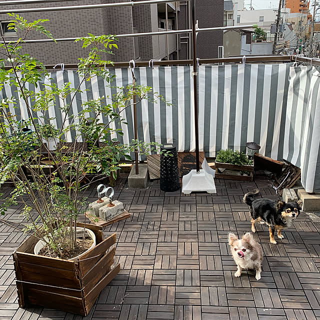 実例写真