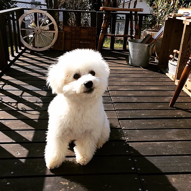 happy_bridgeさんの実例写真