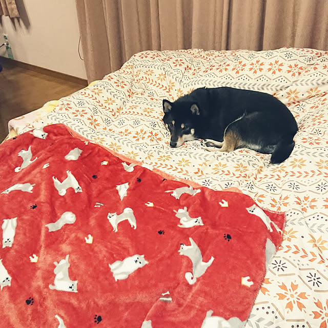 tsutawarimasuさんの実例写真