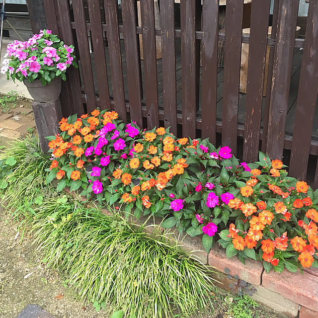 momokaさんの実例写真