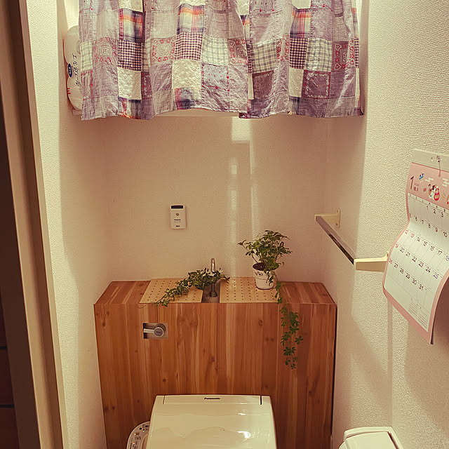 セリア/DIY/観葉植物/バス/トイレのインテリア実例 - 2020-01-17 00:11:52