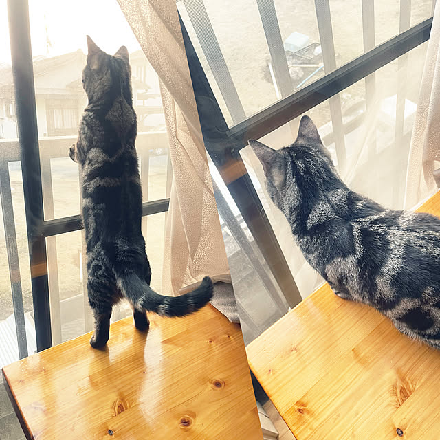 yumiさんの実例写真
