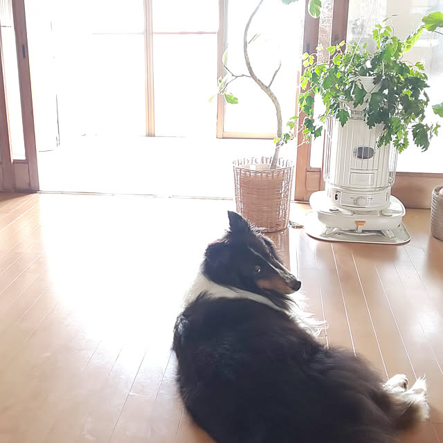 --rnrmm--さんの実例写真