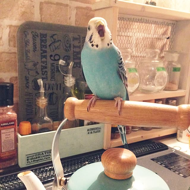 Rikoさんの実例写真