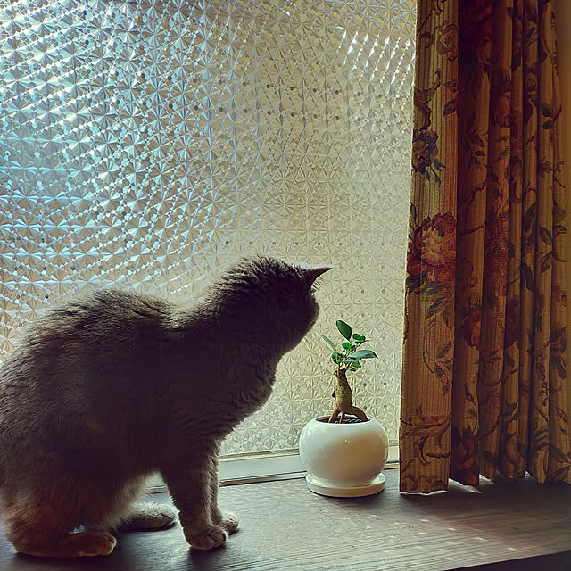 charlotteさんの実例写真