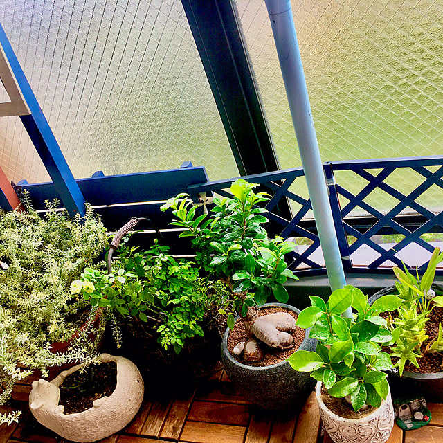 naokoさんの部屋