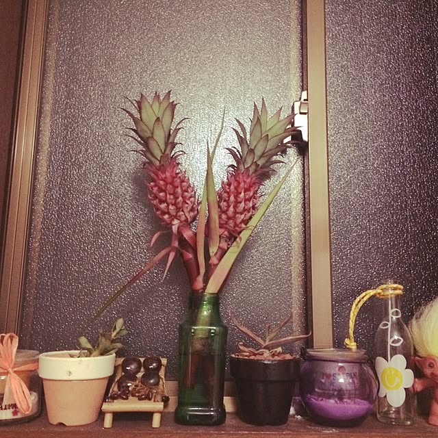 sa.s2_tさんの実例写真