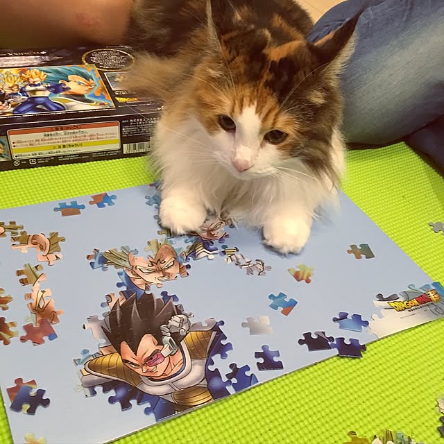 Tomokoさんの実例写真