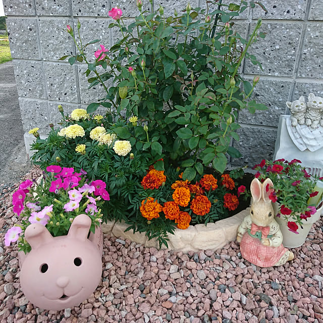 machikomamaさんの実例写真