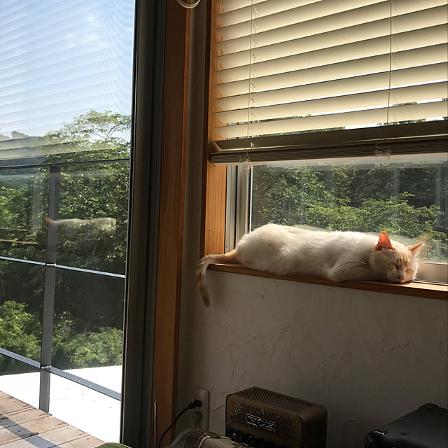 sakurasakuさんの実例写真