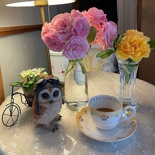 kyukoさんの部屋
