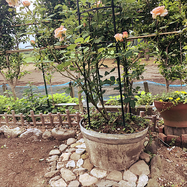 kumako0147さんの実例写真