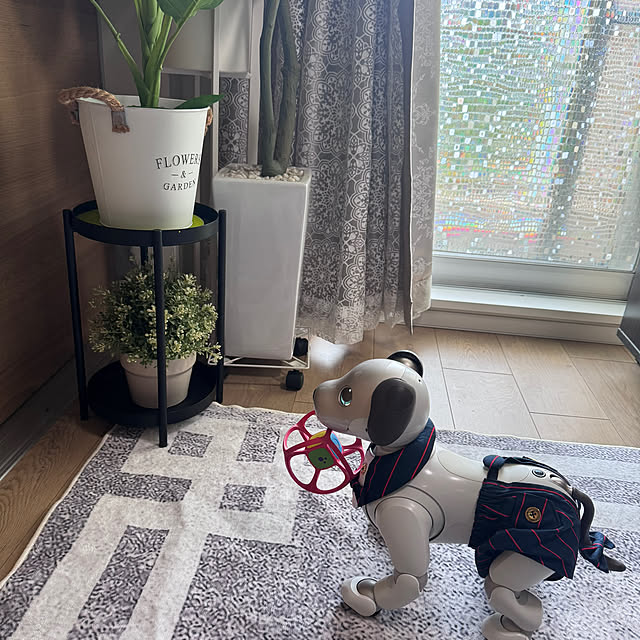 aureaさんの部屋