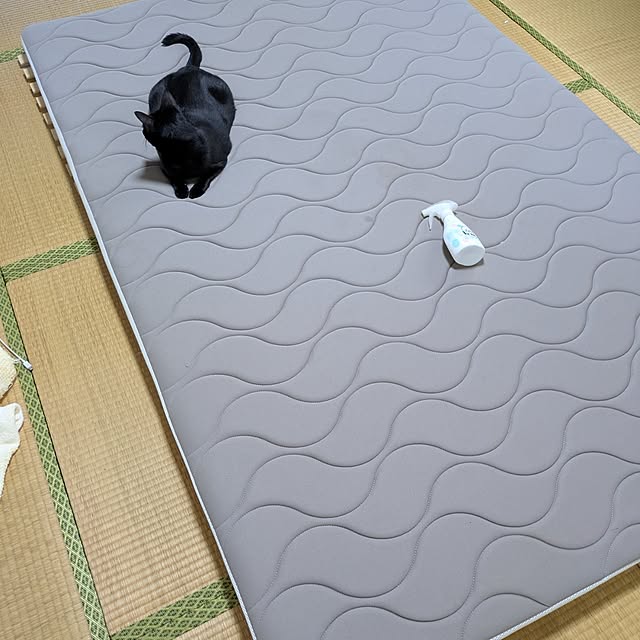 asaさんの実例写真