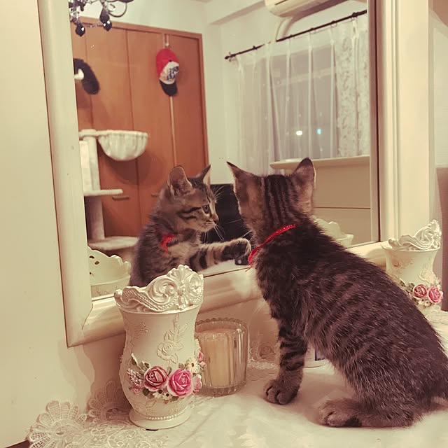 emikoさんの実例写真
