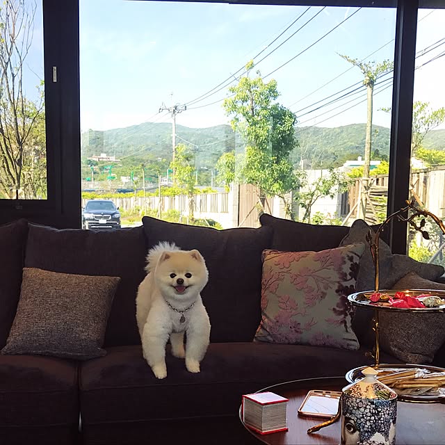 angel8888838さんの実例写真