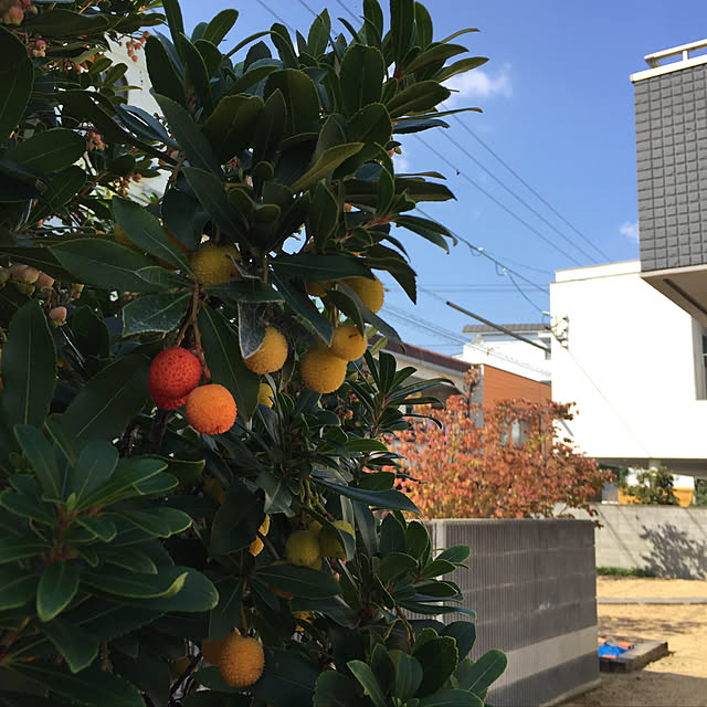 sorasoraさんの実例写真