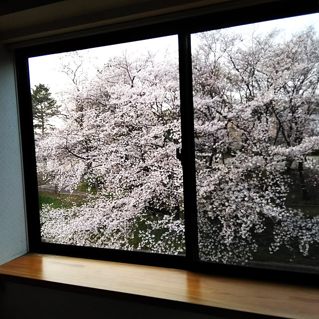 ベッド周りのインテリア実例 - 2020-04-12 10:45:34