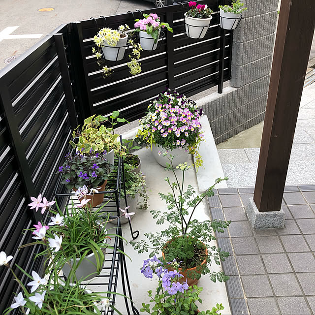 minaさんの実例写真