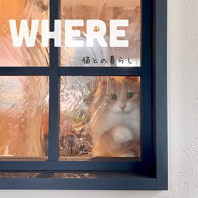 chibinoriさんの実例写真