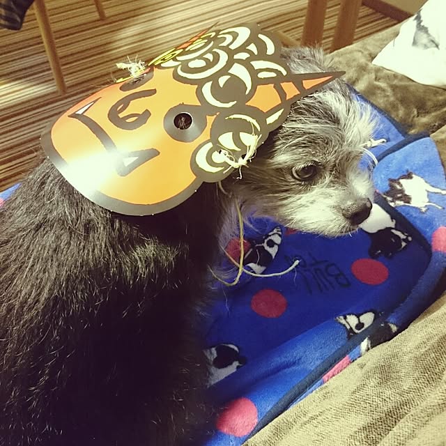 kosame918さんの実例写真