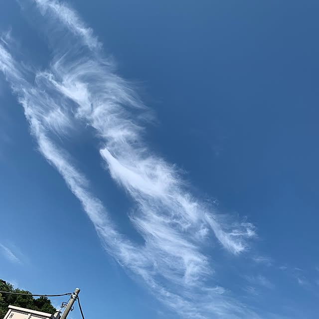 syutmmさんの実例写真