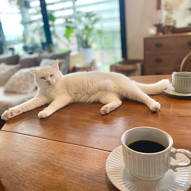Yukinekoさんの実例写真