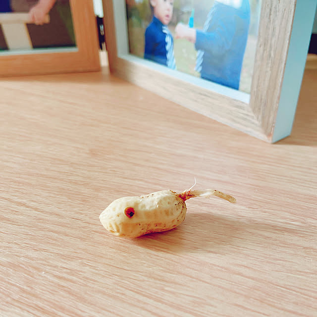 fumofumoさんの実例写真