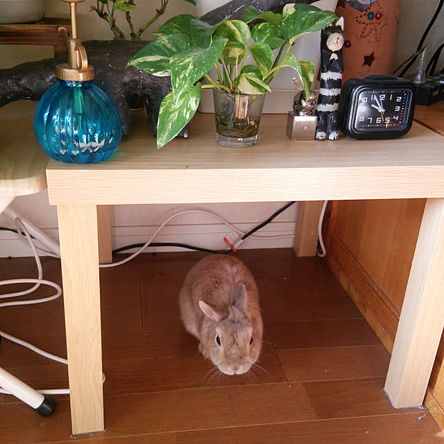 mimikikiさんの実例写真