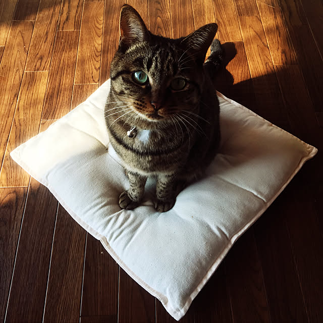 KINGさんの実例写真
