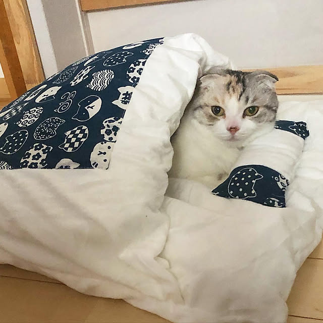yokkochanさんの実例写真