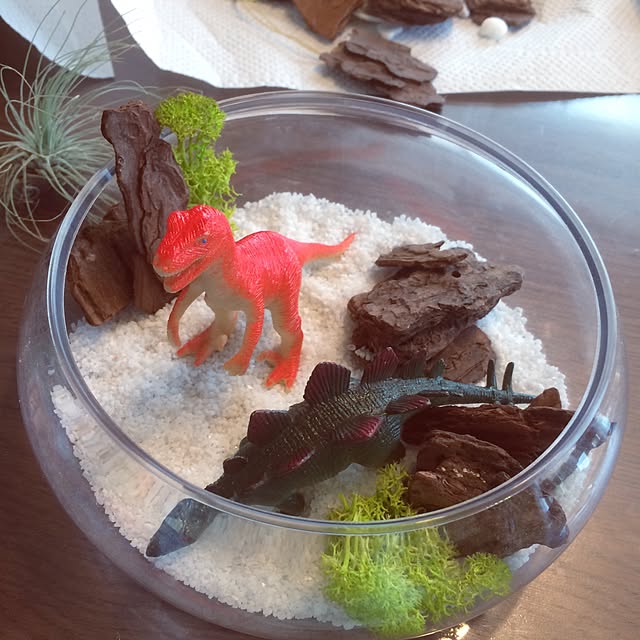 Tomokoさんの実例写真
